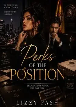 PERKS OF THE POSITION Novel Cover