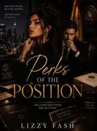 PERKS OF THE POSITION Novel Cover