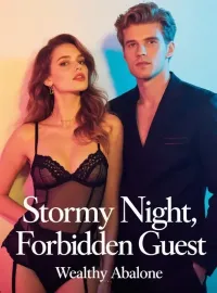 Stormy Night, Forbidden Guest Novel Cover