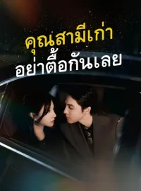 คุณสามีเก่า อย่าตื้อกันเลยมินิซีรีส์