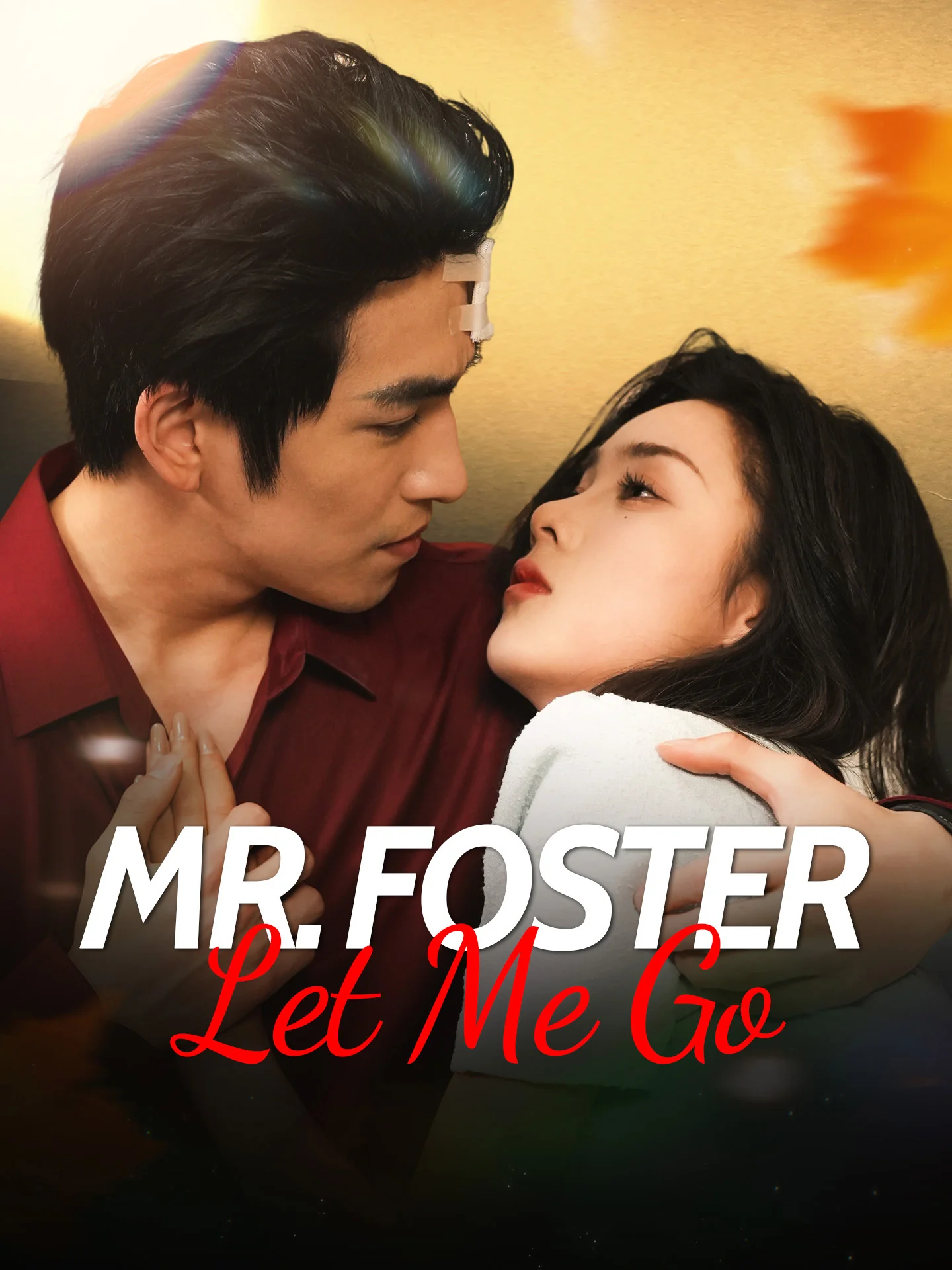 Mr. Foster, Let Me Go cover art