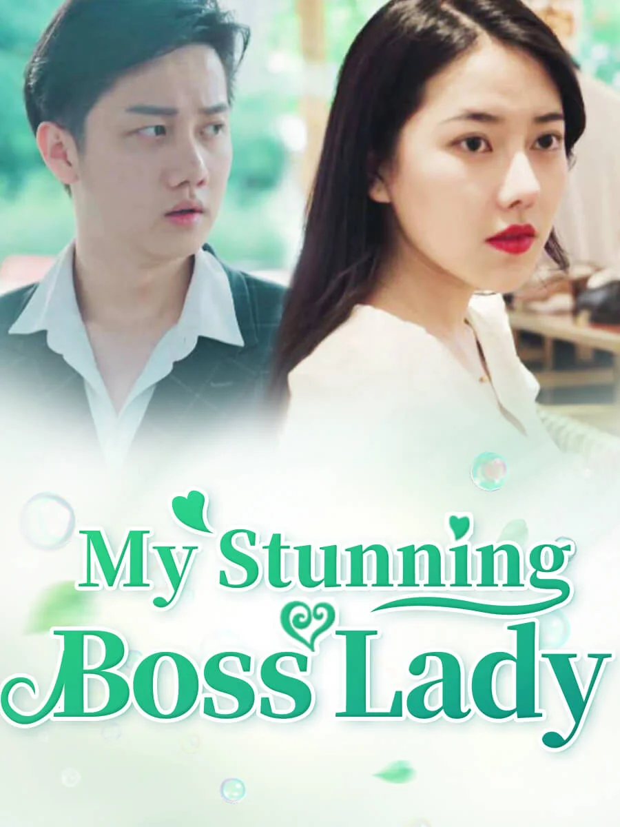 My Stunning Boss Lady cover art