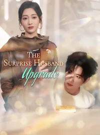 The Surprise Husband UpgradeMini Series