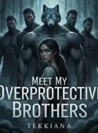 Meet my Overprotective Brothers Novel Cover