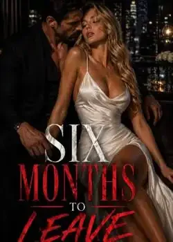 The Billionaire's Contract Wife: Six Months To Leave Novel Cover