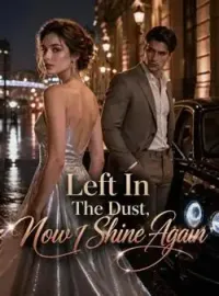 Left In The Dust, Now I Shine Again Novel Cover
