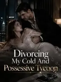 Divorcing My Cold And Possessive Tycoon Novel Cover