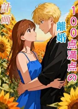 100点満点の離婚計画 の小説カバー