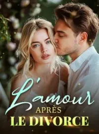 Couverture du roman L'amour après le divorce