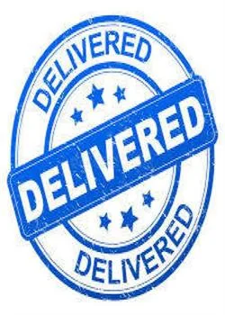 Couverture du roman Delivered 