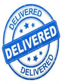 Couverture du roman Delivered
