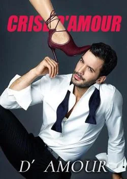 Couverture du roman Crise d'amour