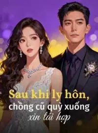 Bìa tiểu thuyết Sau khi ly hôn, chồng cũ quỳ xuống xin tái hợp