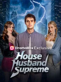 House Husband SupremeShort Dramas
