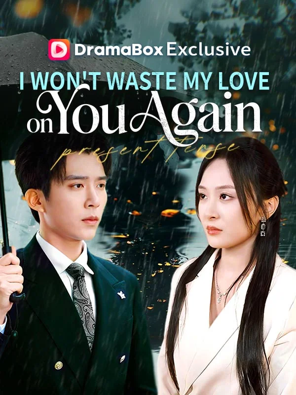 I Won't Waste My Love on You Again cover art