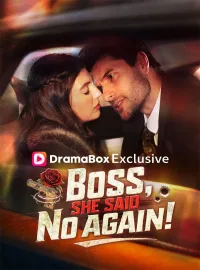 Boss, She Said No Again!Mini Series