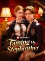 Taming My Stepbrother Review