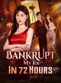 Bankrupt My Ex In 72 HoursMini Series