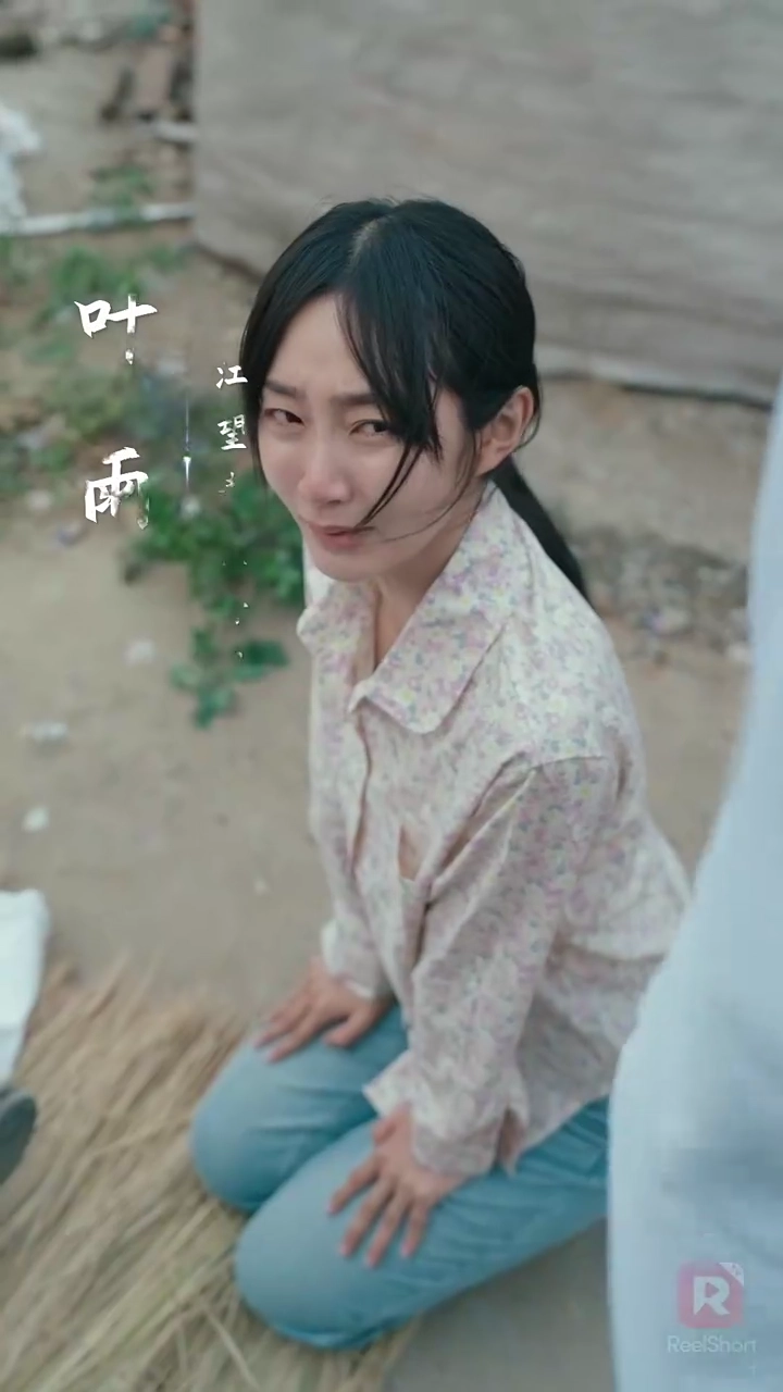 ใบไม้หวนคืนสู่รากเหง้ารูปภาพ