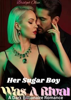 Her Sugar Boy Was A Rival Novel Cover