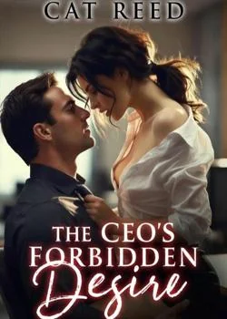 The CEO's Forbidden Desire  Novel Cover