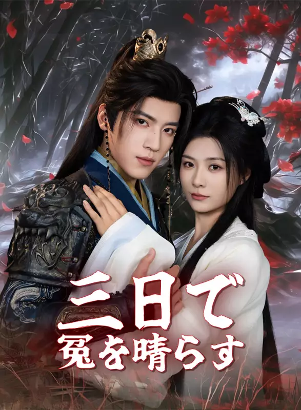 三日で冤を晴らすミニシリーズ