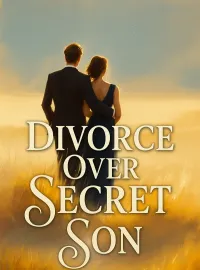 Divorce Over Secret Son Novel Cover