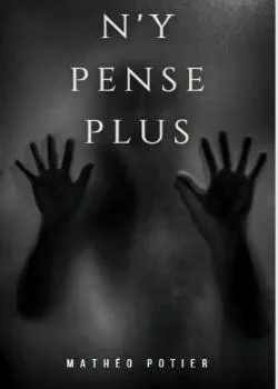 Couverture du roman N'y pense plus