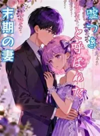 嘘つきと呼ばれた末期の妻 の小説カバー
