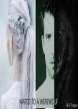 Couverture du roman Mate to a werewolf