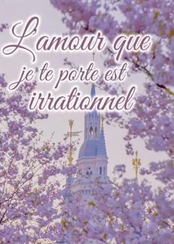Couverture du roman L'amour que je te porte est irrationnel