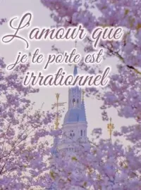 L'amour que je te porte est irrationnel