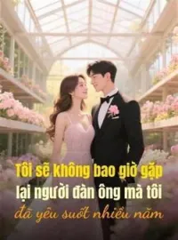 Bìa tiểu thuyết Tôi sẽ không bao giờ gặp lại người đàn ông mà tôi đã yêu suốt nhiều năm