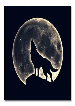 Couverture du roman Mon alpha possessif