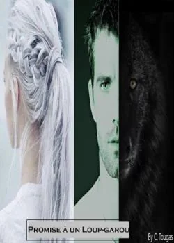 Couverture du roman Promise à un loup-garou