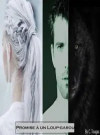 Couverture du roman Promise à un loup-garou