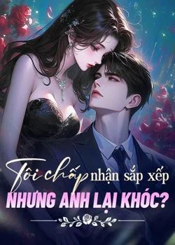 Bìa tiểu thuyết Tôi chấp nhận sắp xếp, nhưng anh lại khóc?