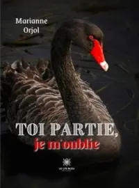 Couverture du roman Toi partie, je m'oublie