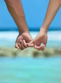 Couverture du roman La vie à deux
