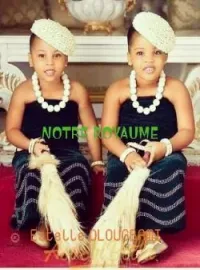 Couverture du roman NOTRE ROYAUME
