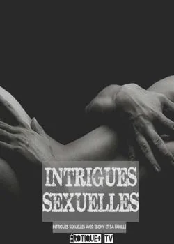 Couverture du roman INTRIGUES SEXUELLES AVEC EBONY ET SA FAMILLE