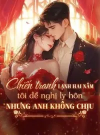 Bìa tiểu thuyết Chiến tranh lạnh hai năm, tôi đề nghị ly hôn nhưng anh không chịu