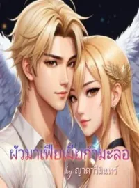 หน้าปกนวนิยาย ผัวมาเฟียเมียกำมะลอ (วิลเซนต์-ไอด้า)