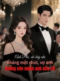 Bìa tiểu thuyết Anh Phó, xin hãy nhẹ nhàng một chút, vợ anh không còn muốn anh nữa rồi