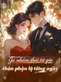 Bìa tiểu thuyết Gả nhầm thái tử gia, thân phận lộ từng ngày