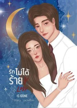 หน้าปกนวนิยาย รักไม่ได้ร้าย