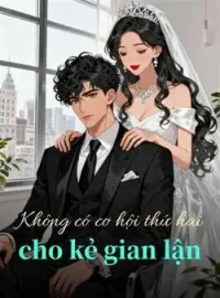 Bìa tiểu thuyết Không có cơ hội thứ hai cho kẻ gian lận