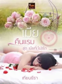หน้าปกนวนิยาย เมียคืนแรม