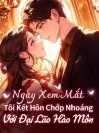 Bìa tiểu thuyết Ngày Xem Mắt, Tôi Kết Hôn Chớp Nhoáng Với Đại Lão Hào Môn