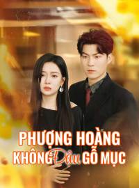 Phượng Hoàng Không Đậu Gỗ MụcPhim ngắn